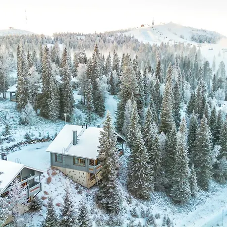 Rinnerasti B 6 - Ski-in&out Incl Wifi, Sauna